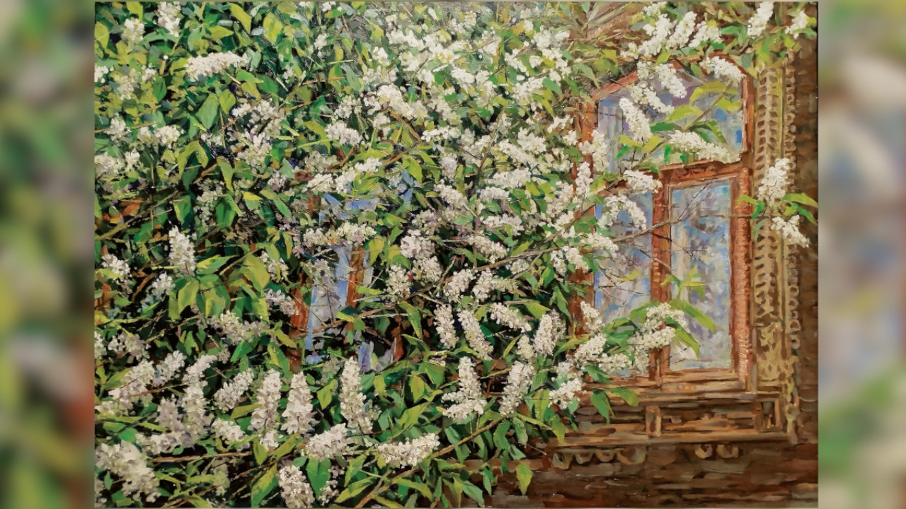 Аромат черемухи душистый. 2025, холст, масло, 80х105