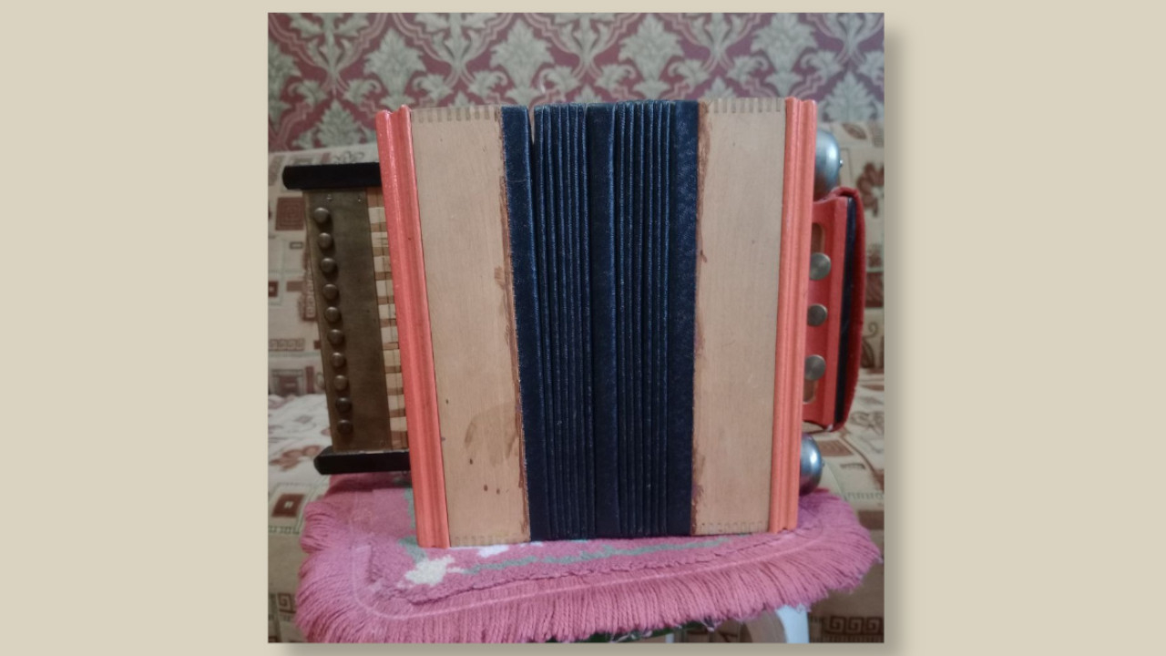 Саратовская гармонь – реликвия семьи Герман