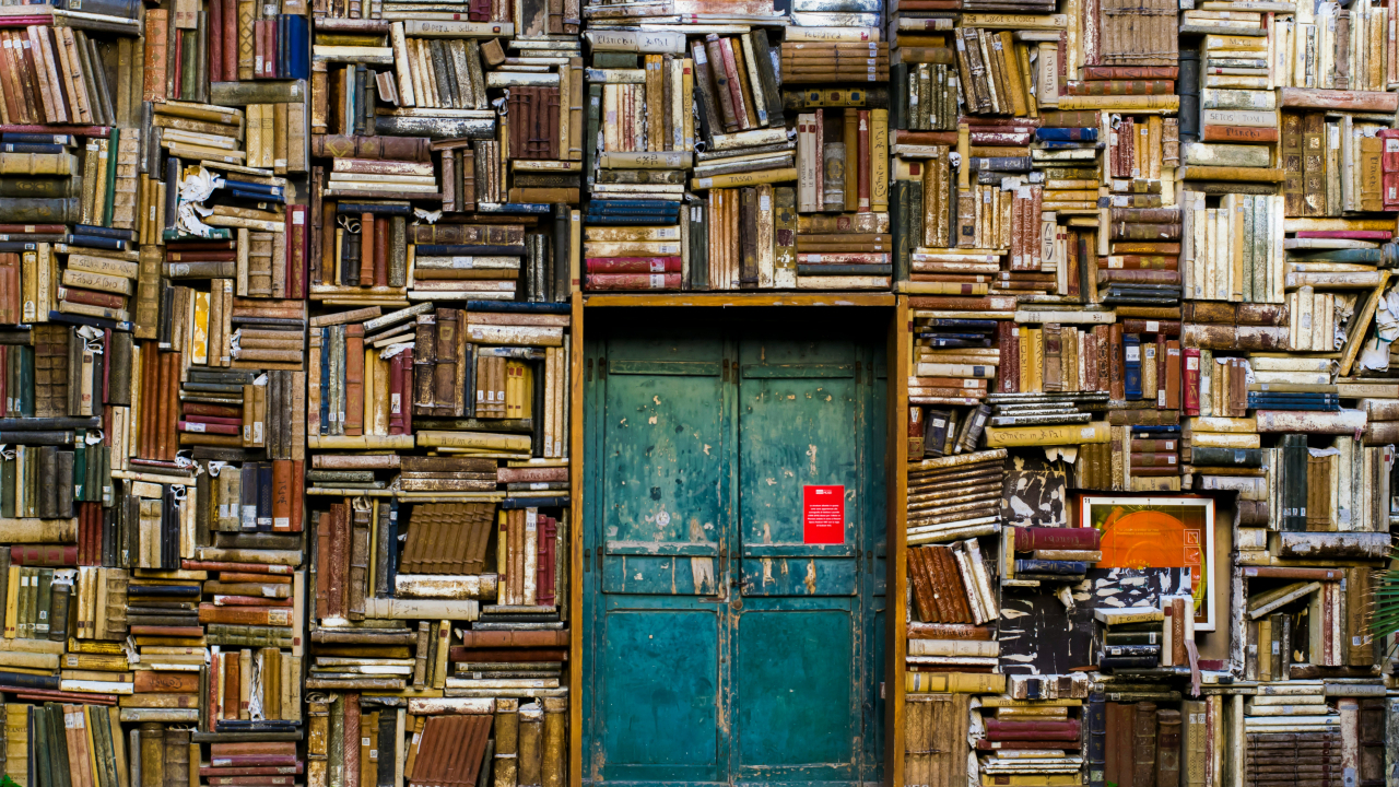 Источник: Unsplash