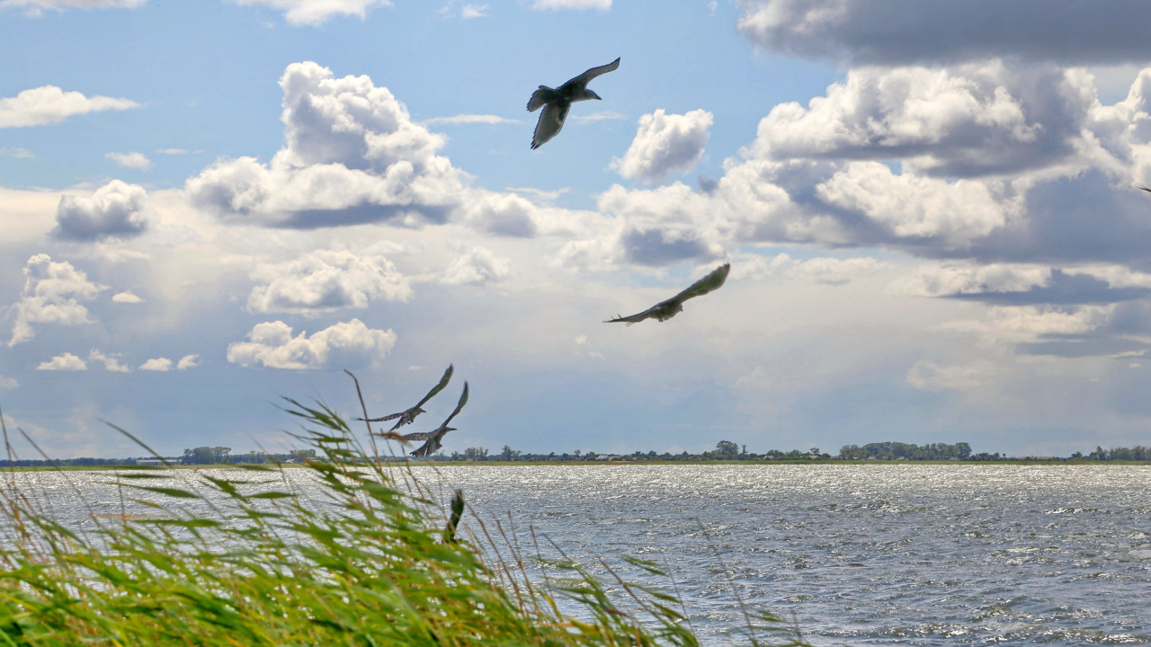 Озеро Песчаное, Алтайский край. Фоторабота Якова Гринемаера